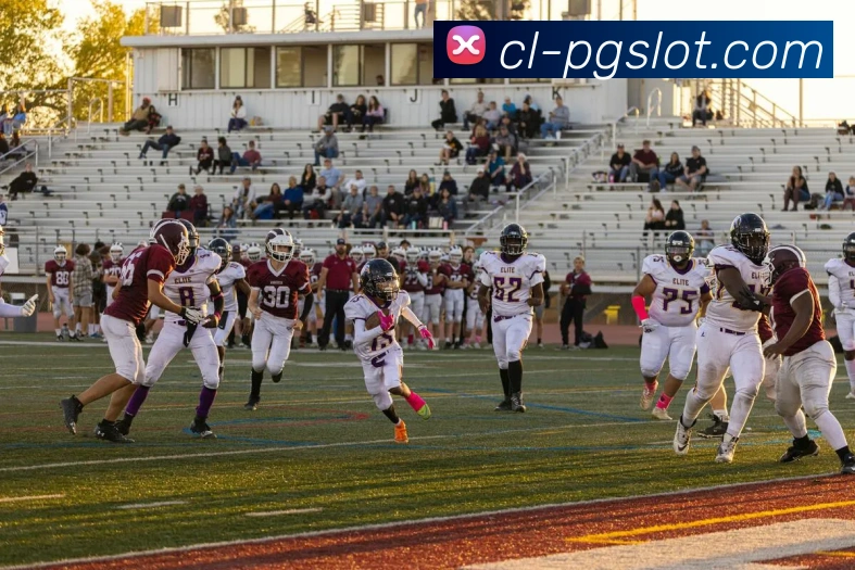 麻将胡了PG官网发展历程